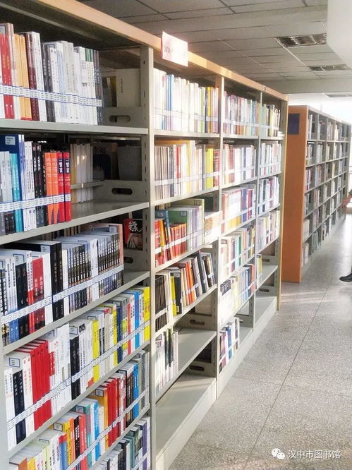 漢中市圖書館新年新增圖書報刊 豐富讀者閱讀選擇